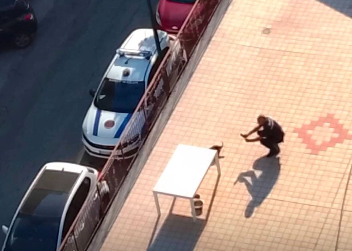 Casoria, tragedia sul terrazzo: cane abbandonato muore sotto il sole cocente