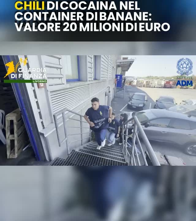 Maxi sequestro al porto di Livorno: 65 kg di cocaina nascosti in un container di banane dall’Ecuador. Valore stimato: 20 milioni di euro. #cronaca #livorno #sequestro #guardiadifinanza
