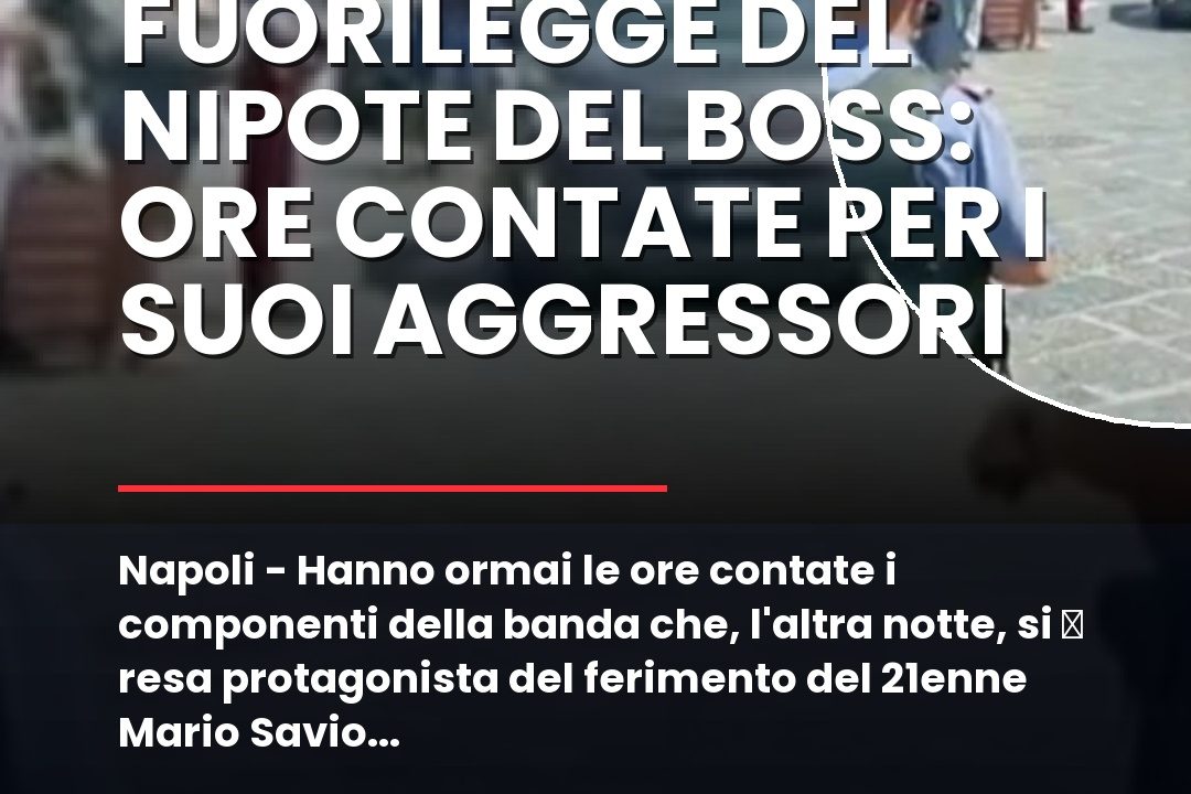 Napoli – Hanno ormai le ore contate i componenti della banda che, l’altra notte, si u00e8 resa protagonista del ferimento del 21enne Mario Savio in un locale all’aperto di Casamicciola Terme.nn#Crime #Faida #Ferimento #Napoli