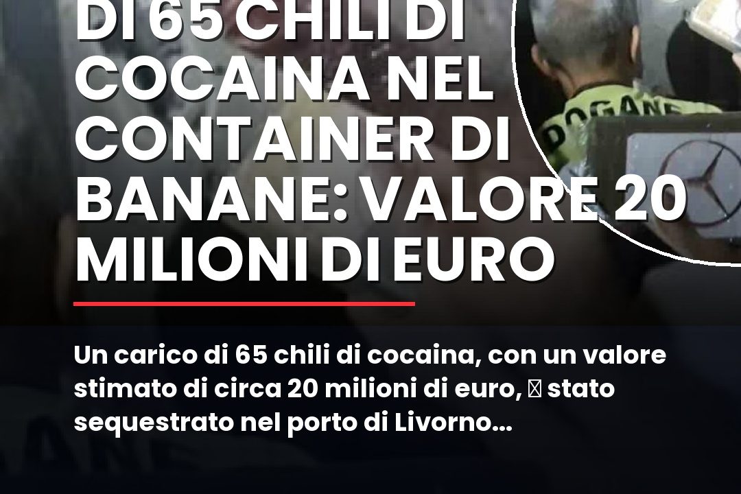 Un carico di 65 chili di cocaina, con un valore stimato di circa 20 milioni di euro, u00e8 stato sequestrato nel porto di Livorno dalla Guardia di Finanza e dallu2019Agenzia delle Dogane e dei Monopoli.