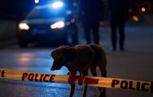 Beagle sulla Tangenziale: salvataggio e responsabilità, ora servono soluzioni concrete