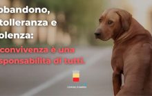 Minacce e abbandono: Napoli avvia una campagna per la tutela degli animali domestici e contro la violenza.