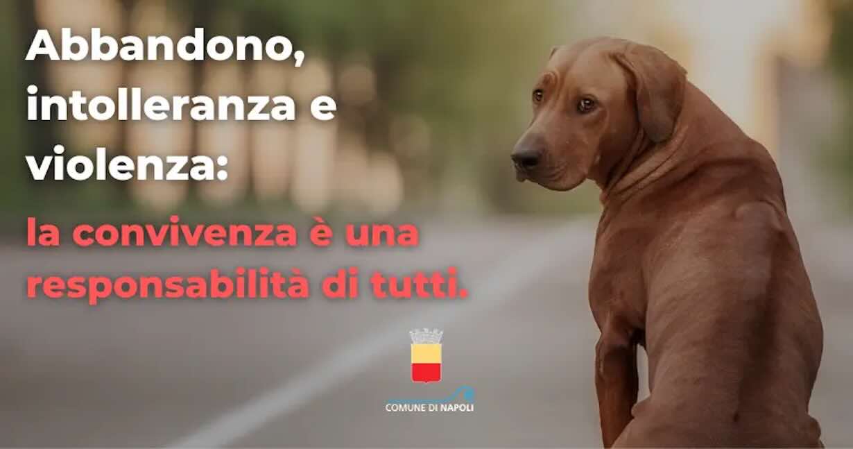 Minacce e abbandono: Napoli avvia una campagna per la tutela degli animali domestici e contro la violenza.