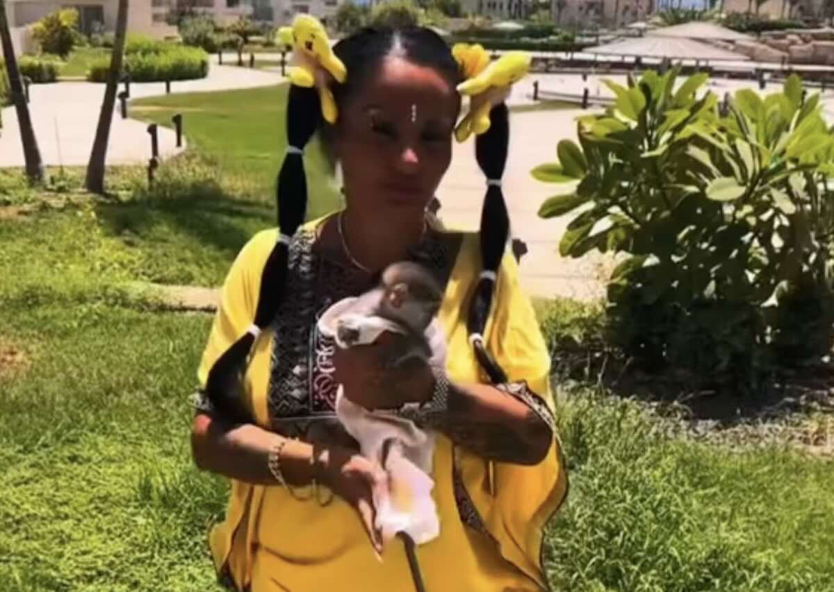 Scimmietta in casa: allerta sanitaria e denuncia per la tiktoker De Crescenzo dopo le polemiche sui socialx