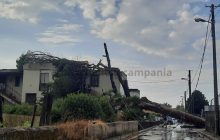 Scafati, alberi a rischio: famiglia bloccata in casa dopo la caduta di un pino