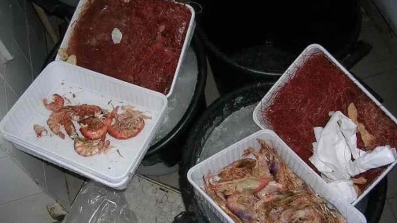 Sequestro record di gambero rosso a Pozzuoli: la Guardia Costiera smaschera un illecito in pesca marittima
