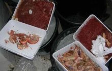 Sequestro record di gambero rosso a Pozzuoli: la Guardia Costiera smaschera un illecito in pesca marittima