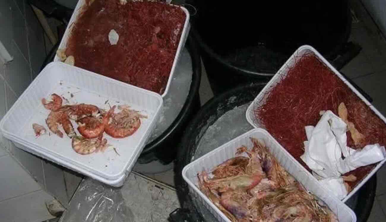 Sequestro record di gambero rosso a Pozzuoli: la Guardia Costiera smaschera un illecito in pesca marittima