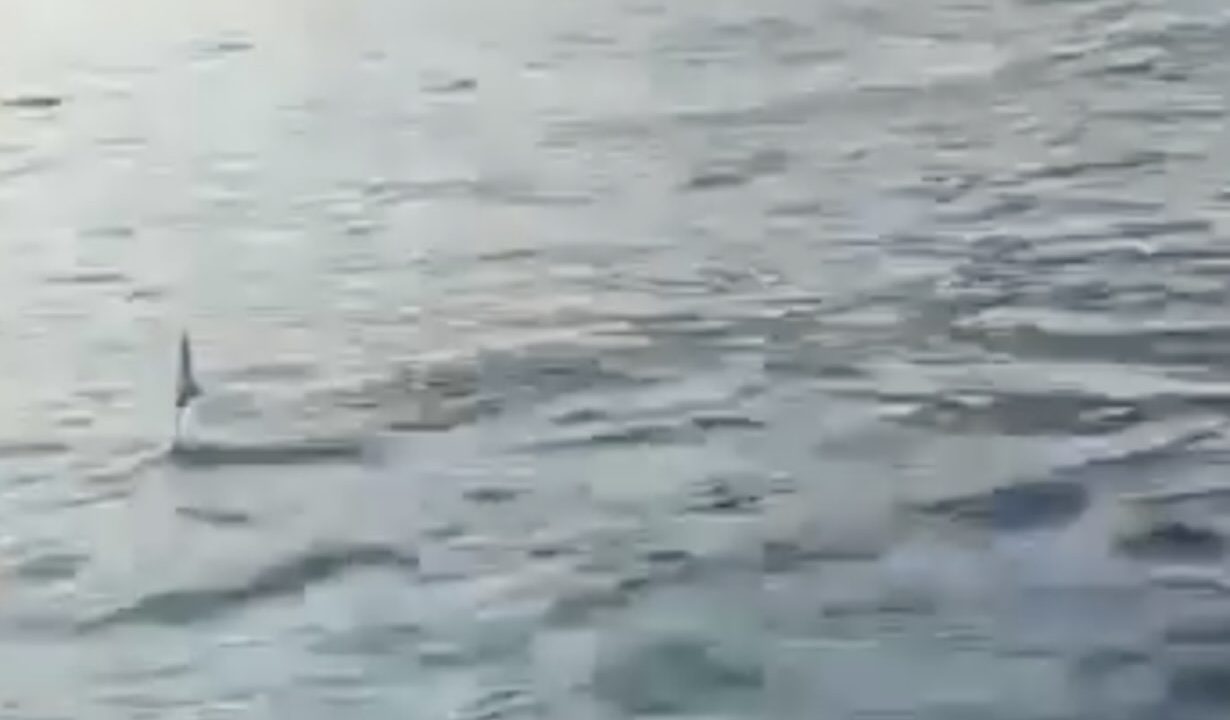 Squalo blu avvistato nelle acque di Amalfi: il filmato conquista il web