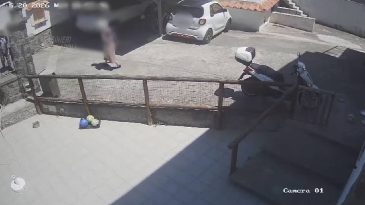 Emergenza truffe: il ruolo cruciale delle famiglie nella difesa degli anziani dalle frodi telefoniche.x