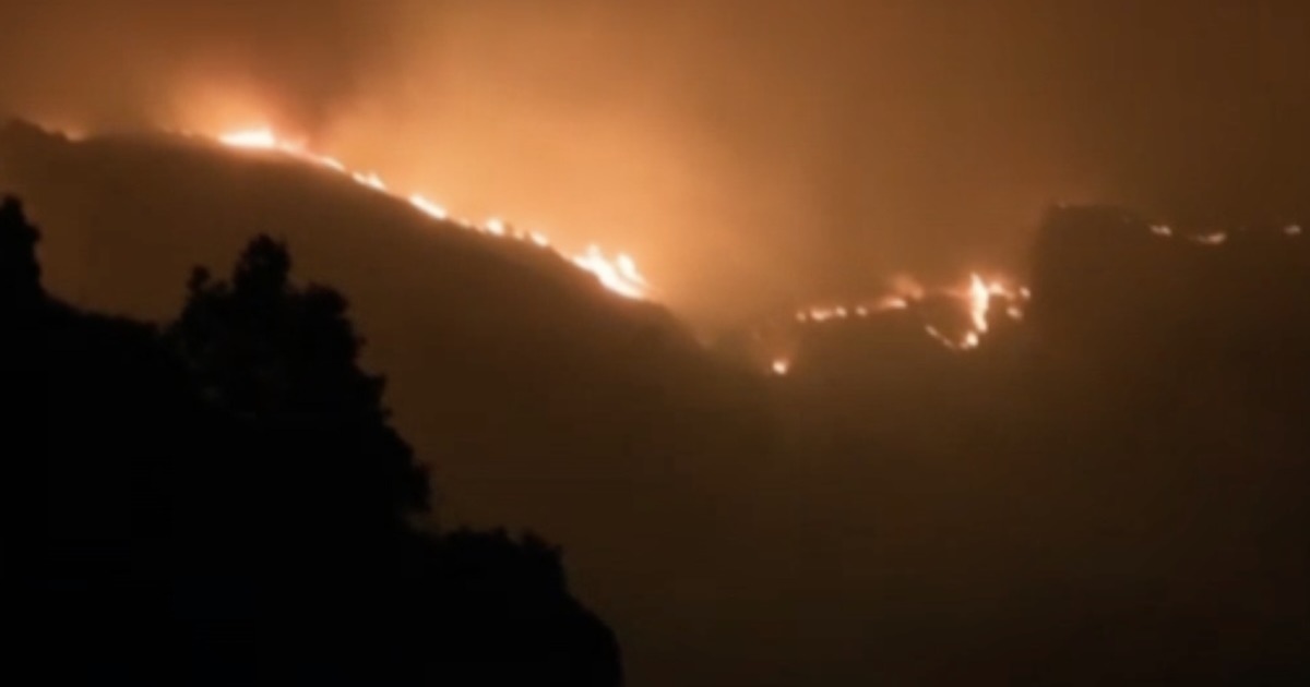 Notte di fuoco tra Penisola Sorrentina e Costiera Amalfitana: evacuazioni ad Arola e vigili al lavoro