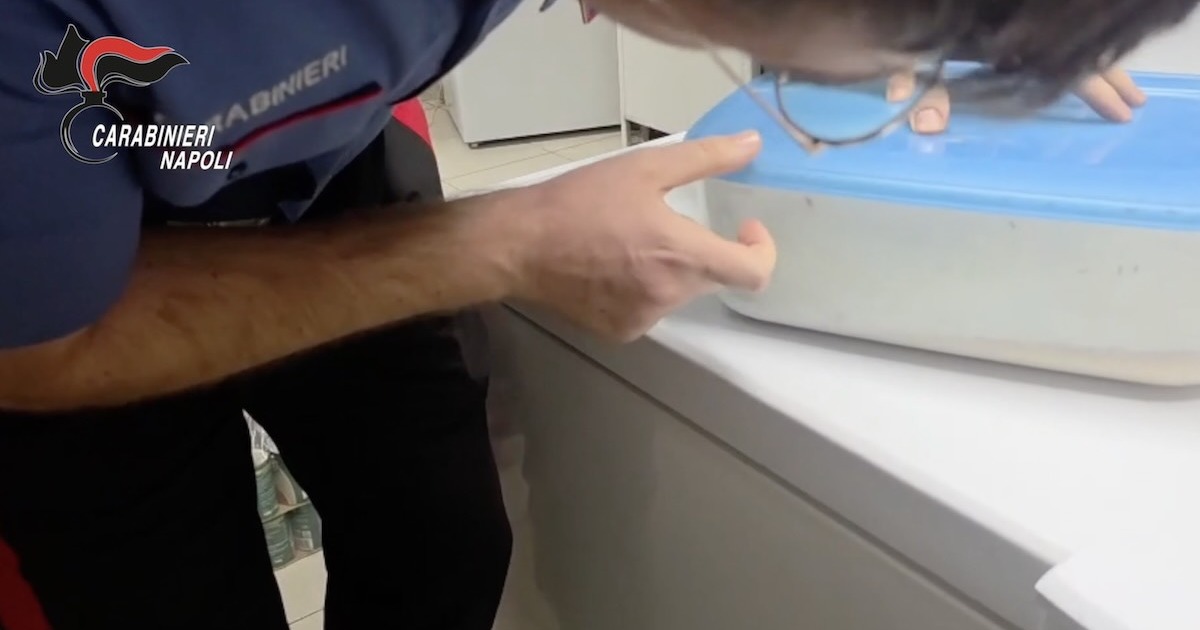 Caivano: controlli igienico-sanitari nelle comunità per minori, sequestrati 500 kg di alimenti e denunciata la responsabile della cooperativa
