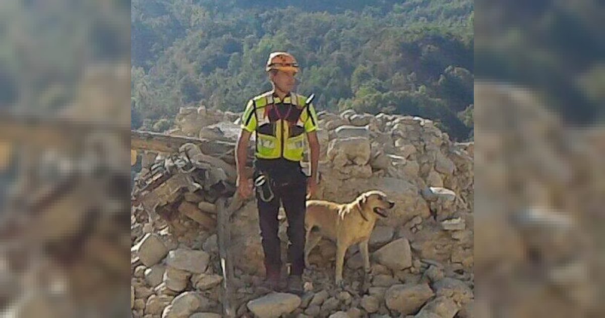 Marley, cane dei vigili del fuoco delle Marche, muore dopo dieci anni al fianco dei soccorritori