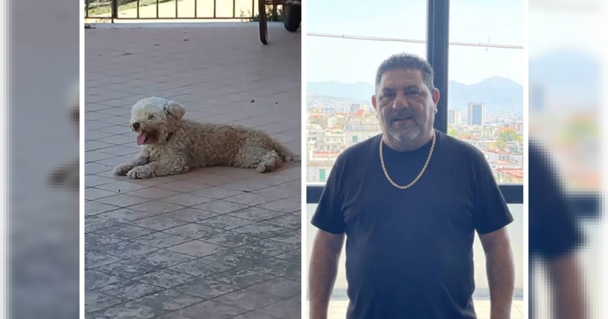 Tragedia a via Nuova Marina: ciclista travolto e il dolore per la dignità perduta, appello per il suo cane Puffy