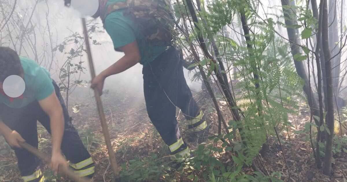 Costiera Amalfitana in fiamme: evacuazioni precauzionali e chiusure stradali, ipotesi dolosa in corso
