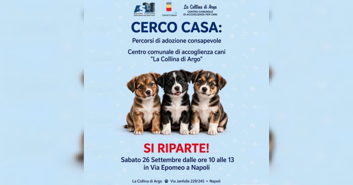 Napoli rilancia l’adozione responsabile: appuntamenti itineranti per favorire i cani della Collina di Argo
