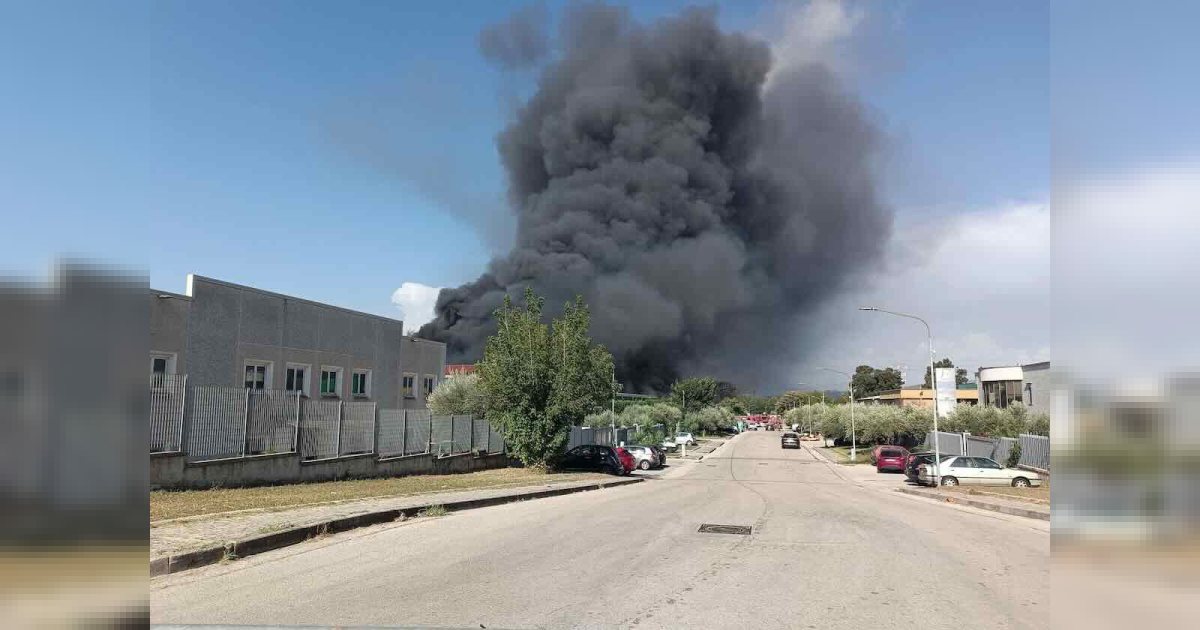 Incendio ad Airola: Coldiretti chiede tavolo di coordinamento permanente e ristori alle imprese agricole