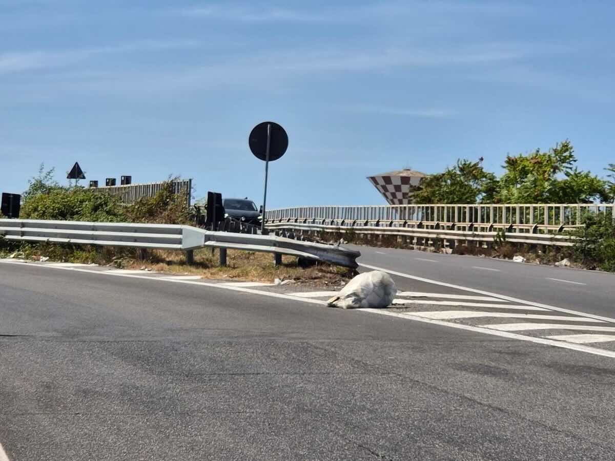 Statale 162 trasformata in discarica: allerta per la sicurezza stradale e sospetti di smaltimento illegale