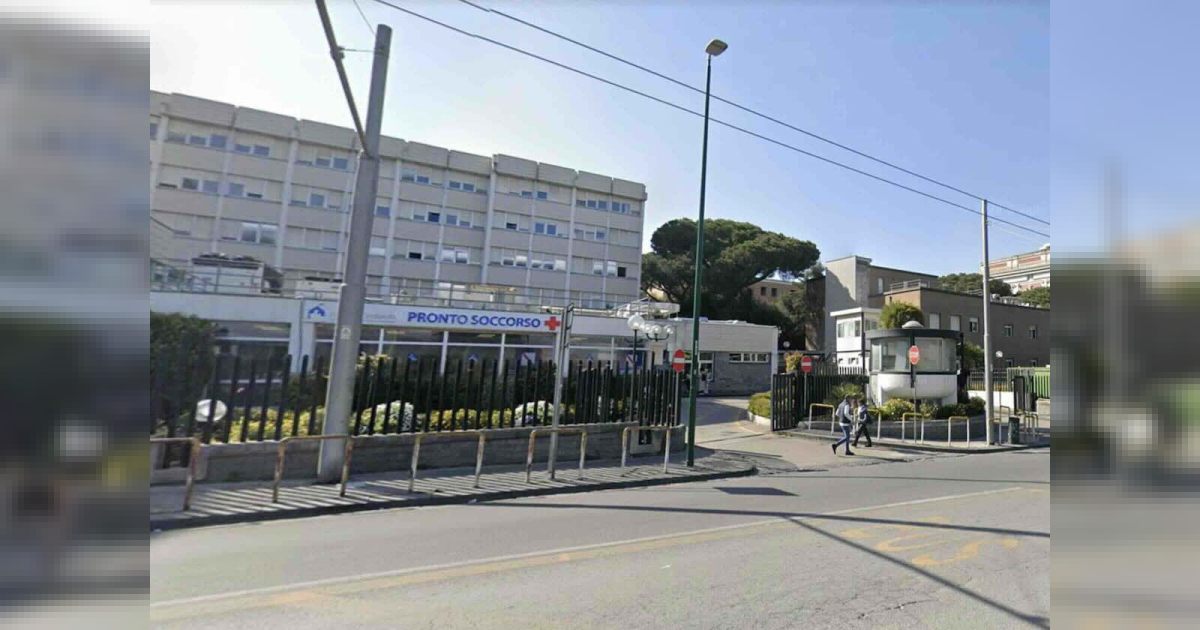 Emergenza sanitaria nel Cilento: trasferita al Cardarelli per puntura di serpente velenoso, allerta sulle scorte di siero antivipera