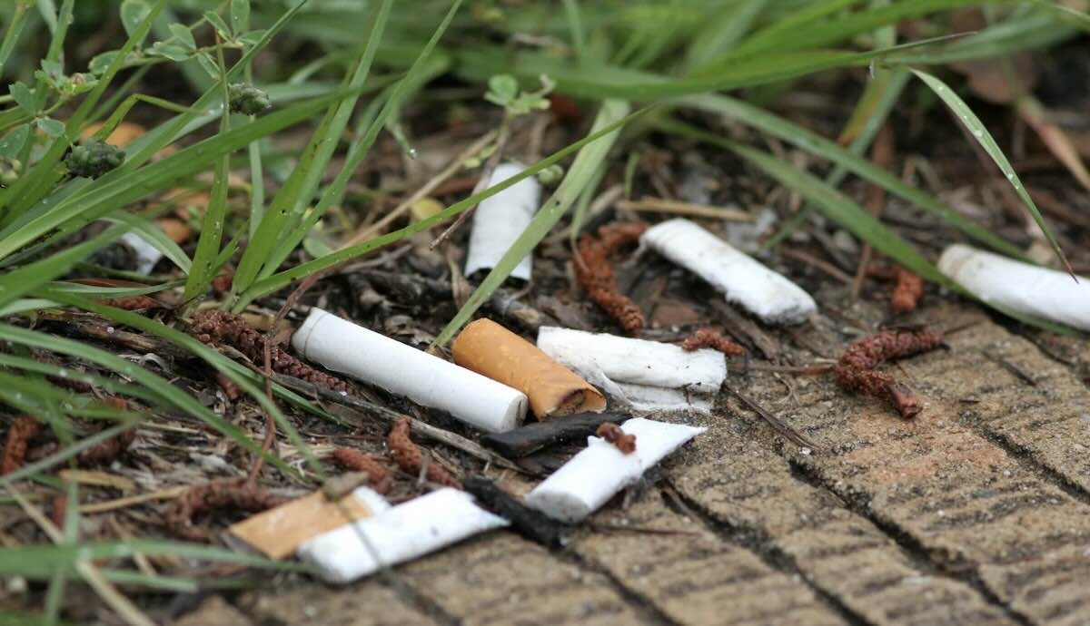 Rifiuti nei parchi di Napoli: l’allerta di Legambiente sul degrado ambientale e il crescente problema dei mozziconi di sigaretta.