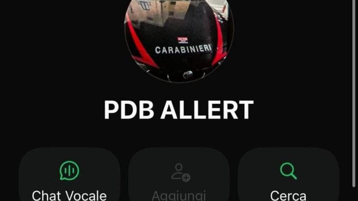 Pdb alert: la chat che sfida i posti di blocco e cambia la partita contro lo spaccio