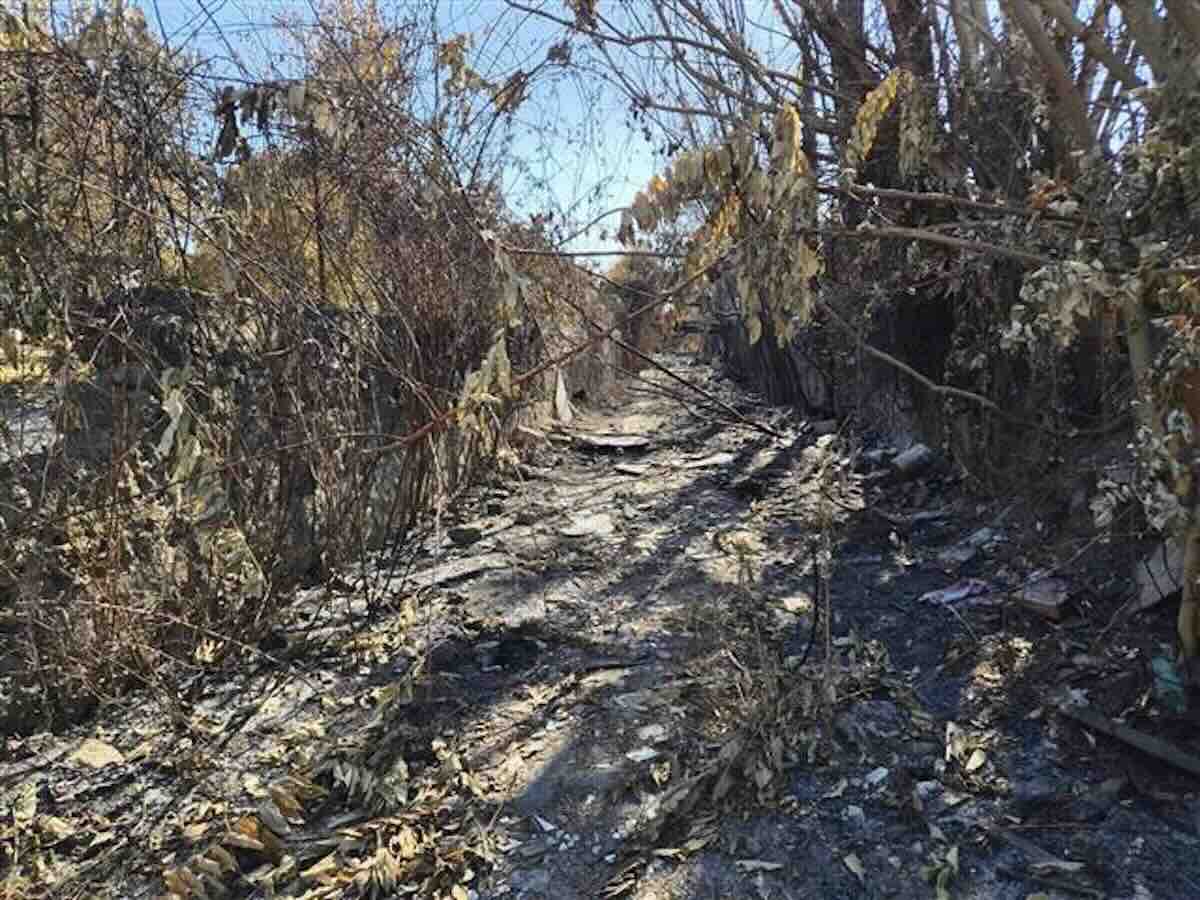 Emergenza ambientale a Pompei e Boscoreale: roghi tossici e videosorveglianza spenta mettono a rischio la salute dei cittadini
