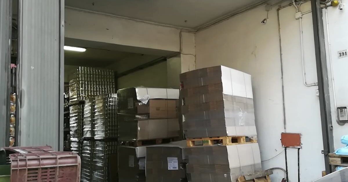 Controllo dei Carabinieri a Sant’Antonio Abate: scoperti gravi illeciti ambientali, sigilli all’industria conserviera di pomodori.