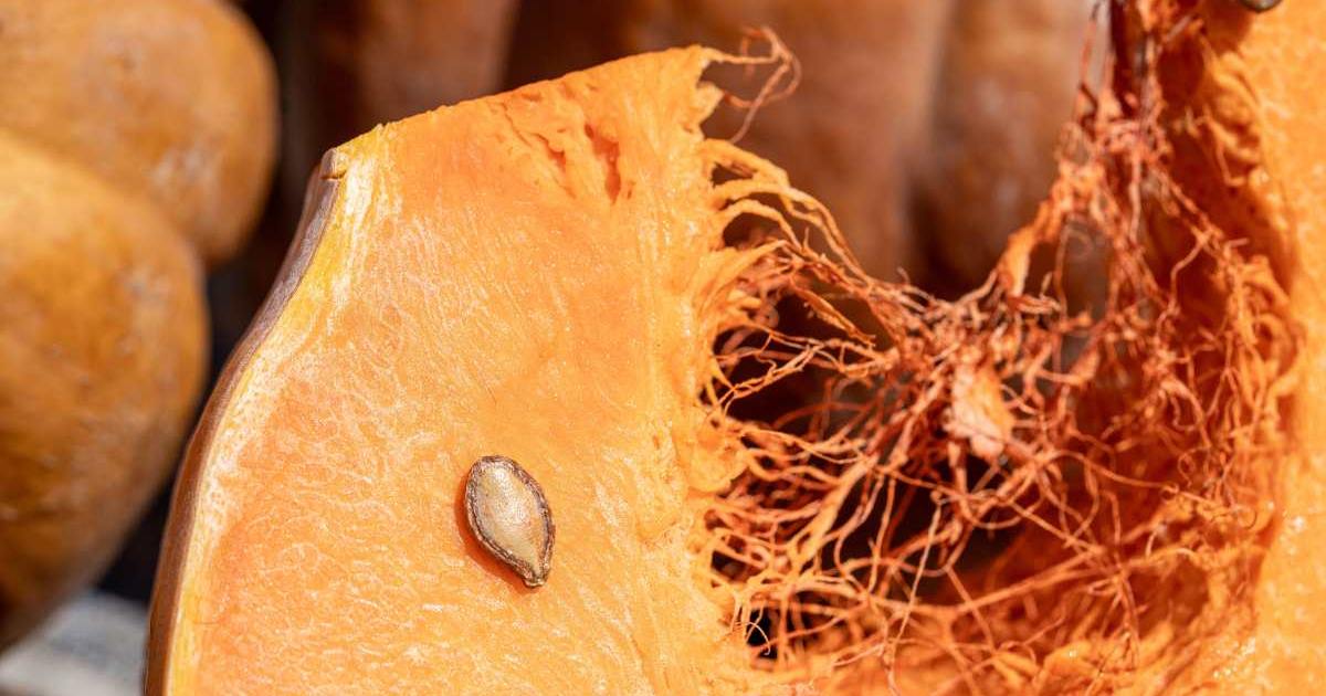 Zucca d’autunno: cotture diverse e ricette dalla vellutata al risotto e ai dolci