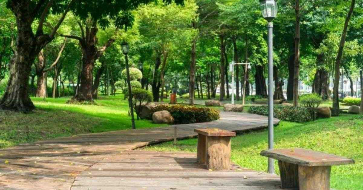 Benevento: scarcerato il 22enne Pagnozzi dopo l’episodio di tentato omicidio al Parco De Mita