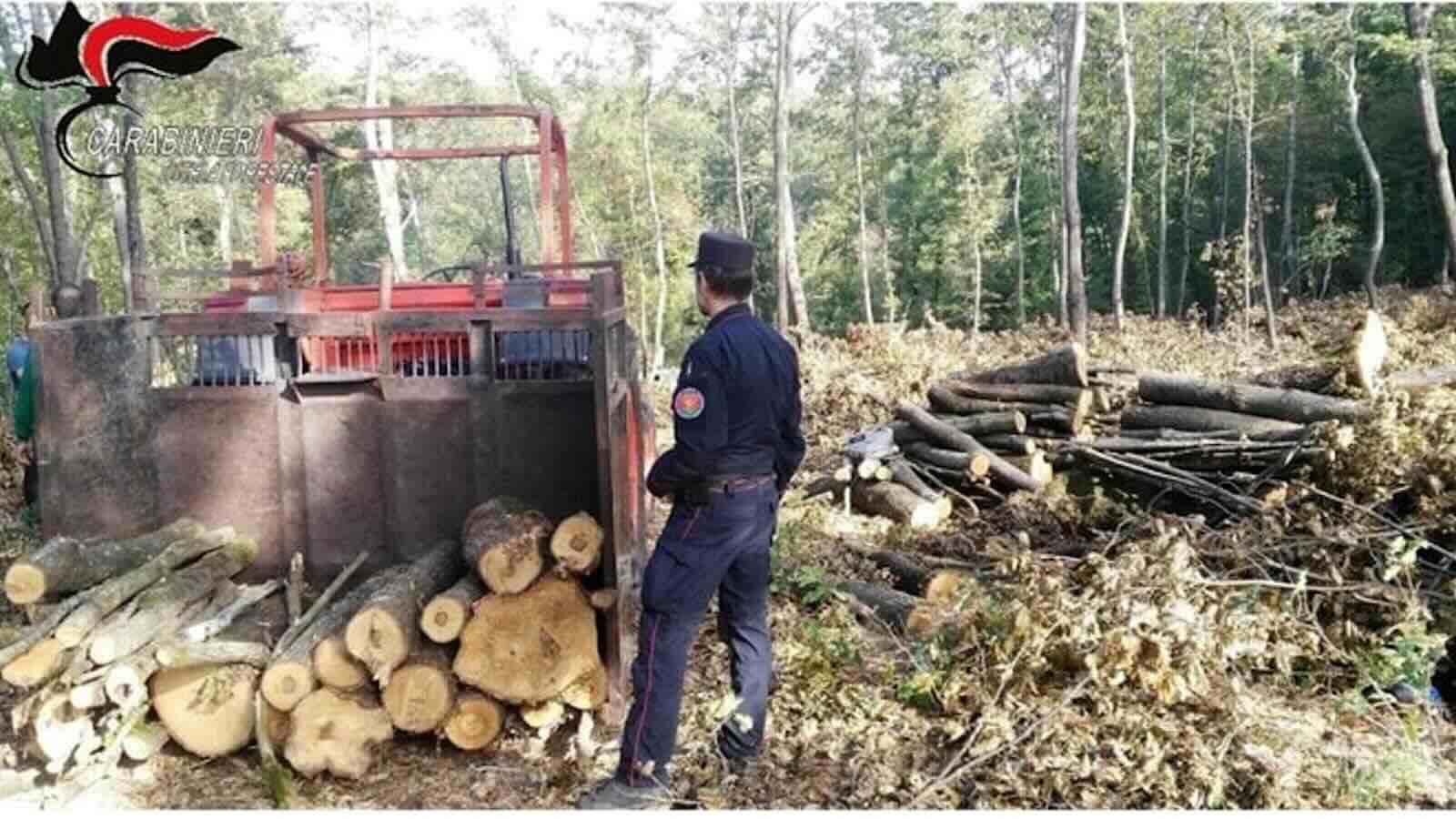 Monti Picentini: abbattimento illegale di circa 70 alberi in riserva integrale; arresti domiciliari per un uomo di Giffoni Valle Piana