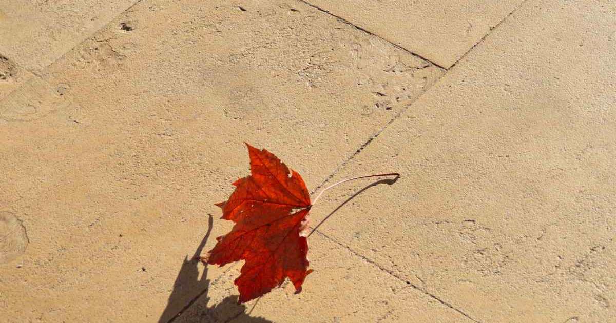 Ottobre 2026: primo calo delle temperature previsto tra il 5 e il 6 ottobre, ma il freddo vero resta in standby