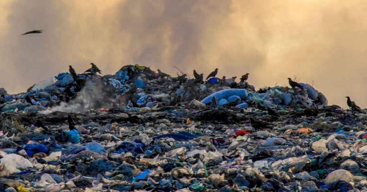 Campania in vetta agli illeciti ambientali: 5.636 reati nel 2025 e Napoli guida le province