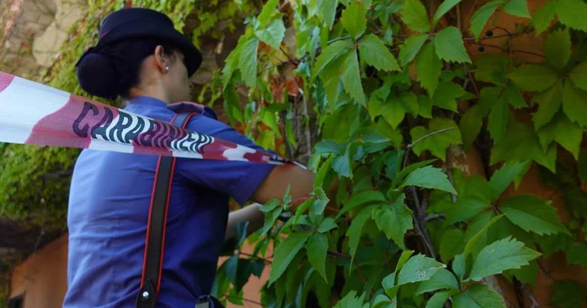 Valle di Maddaloni: rifiuti bruciati in fondo agricolo; denunciato il proprietario